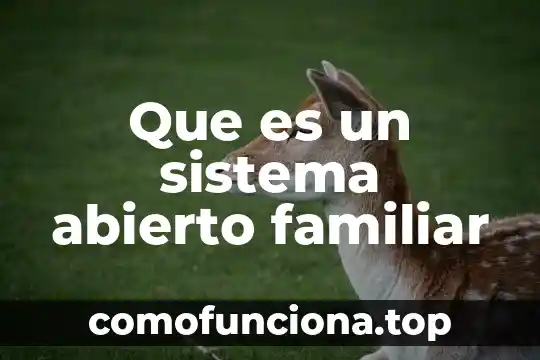 Que es una sociedad mercantil de carácter abierto 3 Que es un sistema abierto familiar