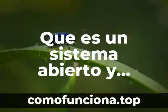 Que es una sociedad mercantil de carácter abierto 4 Que es un sistema abierto y cerrado en derecho