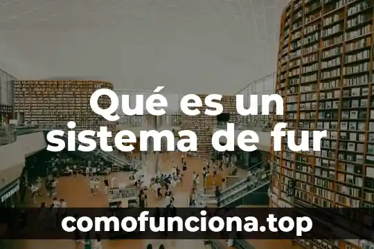Que es la cebada fotografia de la planta 6 Qué es un sistema de fur