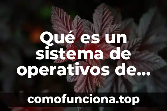 Que es el estado del arte de los sistemas operativos 7 Qué es un sistema de operativos de red