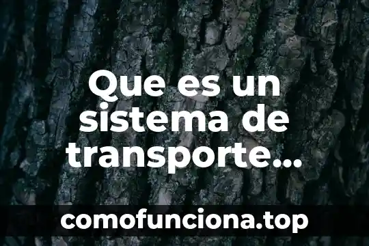 Que es rodaje del sistema cinematografico 8 Que es un sistema de transporte masivo