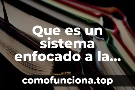 Qué es el sistema urogenital animal 4 Que es un sistema enfocado a la construccion