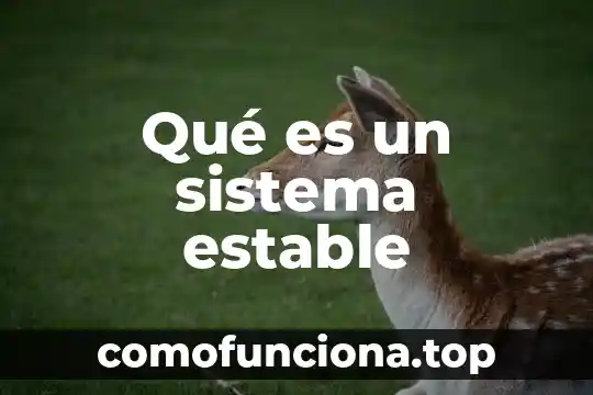 Que es eñ sistema de justicia integral 6 Qué es un sistema estable