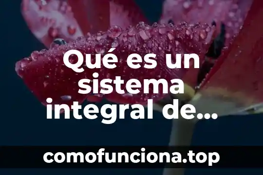 Que es rodaje del sistema cinematografico 3 Qué es un sistema integral de control de ingresos