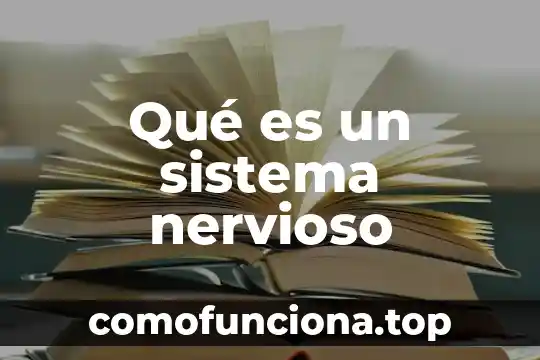 Qué es el tejido nervioso definición 6 Qué es un sistema nervioso