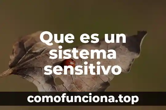 Según la teoría causalista qué es conducta 8 Que es un sistema sensitivo