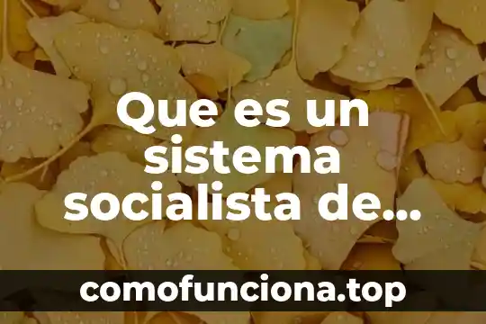 Qué es el movimiento socialista 8 Que es un sistema socialista de gobierno