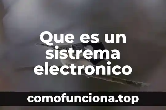 Un concepto de que es una metodología 4 Que es un sistrema electronico