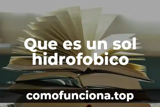 Que es el iva y como se aplica en excel 6 Que es un sol hidrofobico
