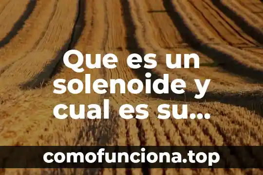 Que es una funcion o formula en excel 4 Que es un solenoide y cual es su funcion fisica