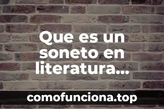 Que es un articulo en lengua y literatura 5 Que es un soneto en literatura ejemplos