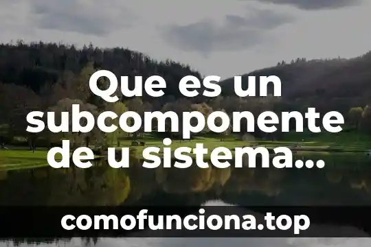 En la filosofía que es eficiente 5 Que es un subcomponente de u sistema distribuido