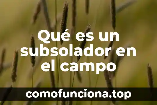 Campo de estudio que es 4 Qué es un subsolador en el campo