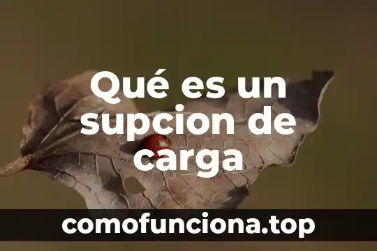 Que es el principio de cuantizacion de la carga electrica 4 Qué es un supcion de carga