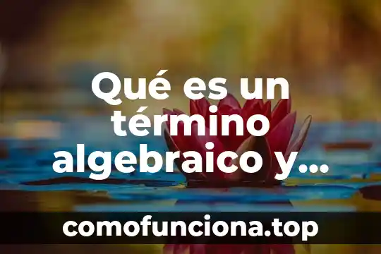 Que es cultura organizacional y cuales son sus elementos 3 Qué es un término algebraico y cuáles son sus términos