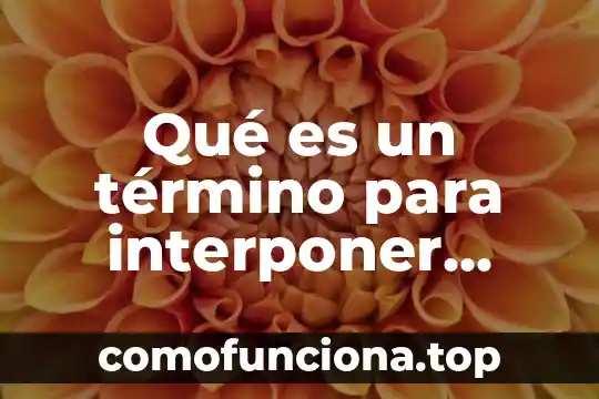 Que es la acción en materia de amparo 7 Qué es un término para interponer amparo