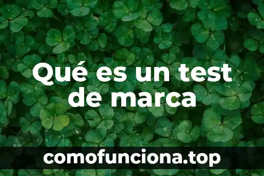 Nombre de la marca que es una equis 4 Qué es un test de marca