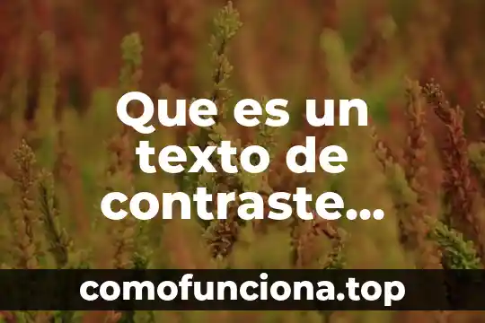 Prueba de sistema que es 5 Que es un texto de contraste ejemplo