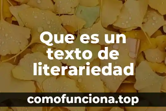 Que es planteamiento de un texto 3 Que es un texto de literariedad