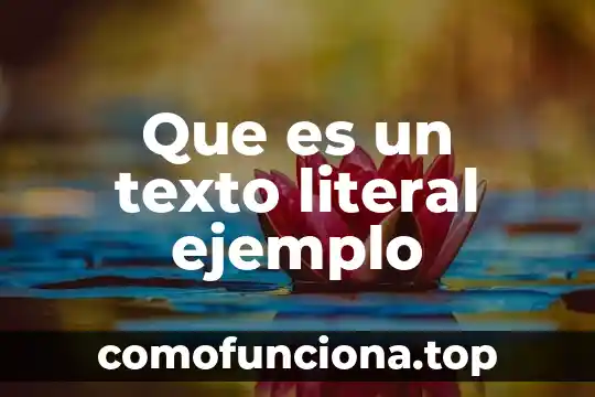 Que es la planta arq 5 Que es un texto literal ejemplo