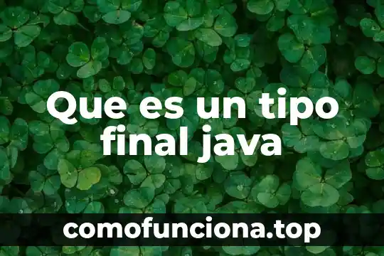 Que es el na2s tipo de compuesto 4 Que es un tipo final java