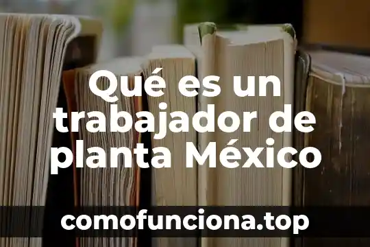 Que es emprender en administracion 7 Qué es un trabajador de planta México