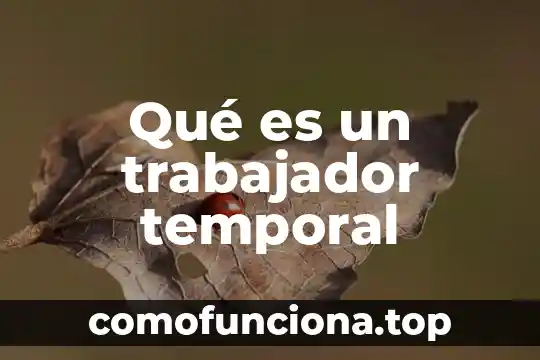 Que es la regulacion espacio temporal de la expresion genica 4 Qué es un trabajador temporal
