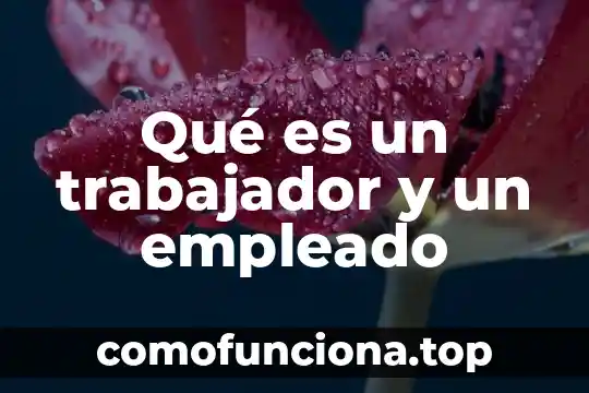 Qué es el empleado concepto jurídico 4 Qué es un trabajador y un empleado