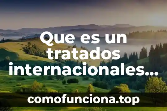 Que es lo politica en relaciones internacionales 6 Que es un tratados internacionales y sus tipos