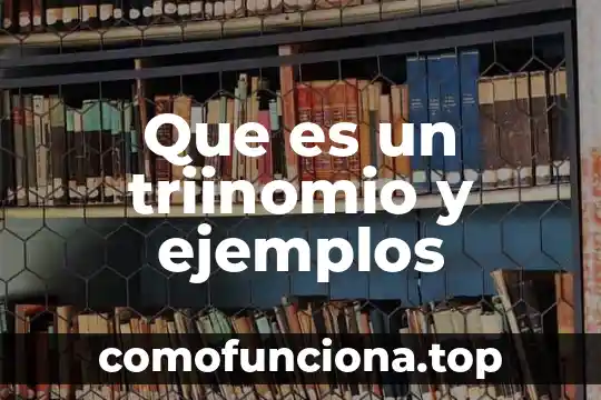 Qué es denotación y connotación con ejemplos 8 Que es un triinomio y ejemplos
