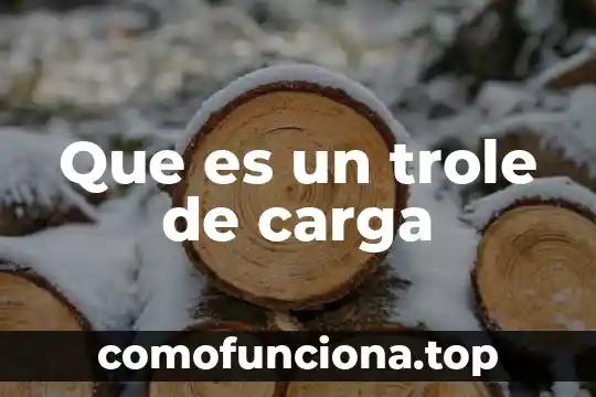 Que es un acumulacionde carga del mismo signo 5 Que es un trole de carga