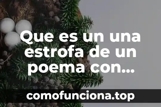 Cómo marcar que es una estrofa en finale 7 Que es un una estrofa de un poema con ejemplos