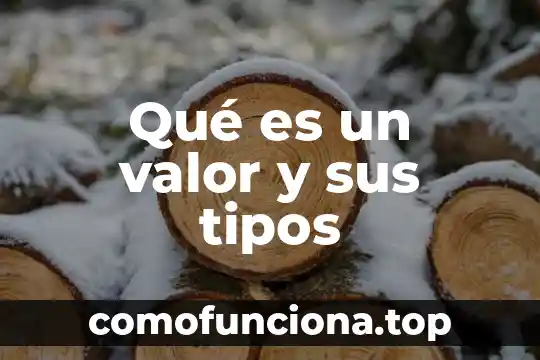 Que es el modo y sus tipos 5 Qué es un valor y sus tipos