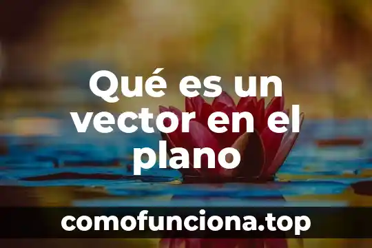 Que es plano en diseño 3 Qué es un vector en el plano