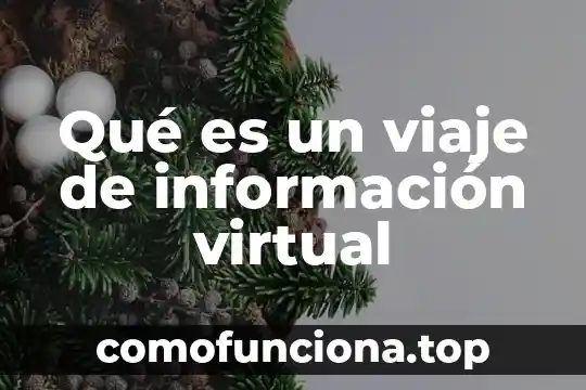 Información que es una adivinanza con metáfora 6 Qué es un viaje de información virtual