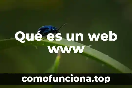 Escudo web antivirus Avast que es 8 Qué es un web www