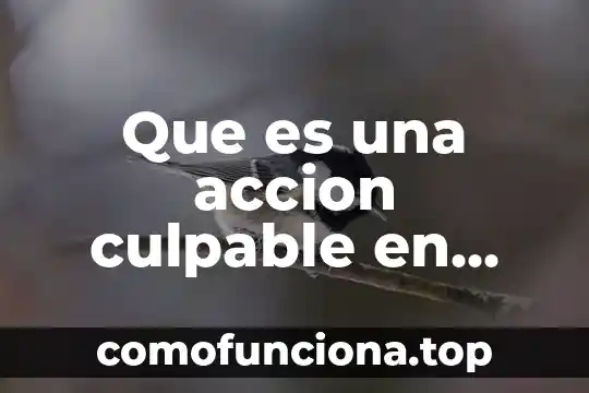 Que es una accion tecnica e instrumento de evaluacion 4 Que es una accion culpable en derecho penal