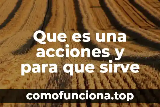 Que es una sociedad por acciones simplificada sas 6 Que es una acciones y para que sirve