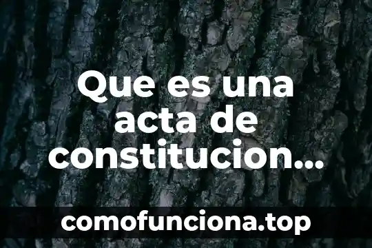 Que es la constitución política fecha 6 Que es una acta de constitucion del proyecto