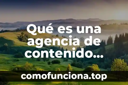 Que es la carrera de animacion y arte digital 4 Qué es una agencia de contenido digital