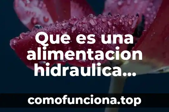 Que es un sol hidrofobico 6 Que es una alimentacion hidraulica definicion