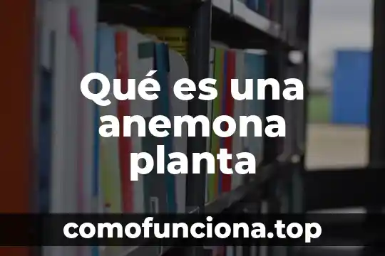 Que es la lengua de vaca planta 5 Qué es una anemona planta