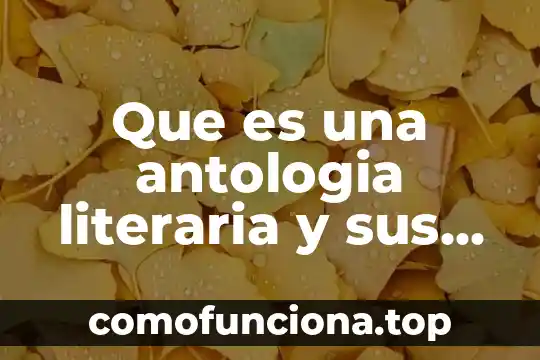 Que es un aislante electrico y sus caracteristicas 5 Que es una antologia literaria y sus caracteristicas
