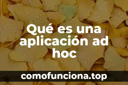 Ad broker que es 5 Qué es una aplicación ad hoc