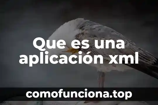 Qué es una aplicación de entretenimiento en informática 4 Que es una aplicación xml