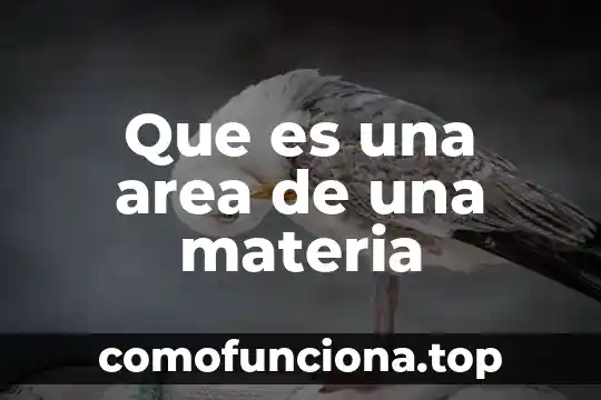 Investigar que es un area funcional de una empresa 3 Que es una area de una materia