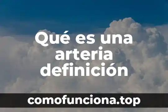 Qué es brocal definición 4 Qué es una arteria definición