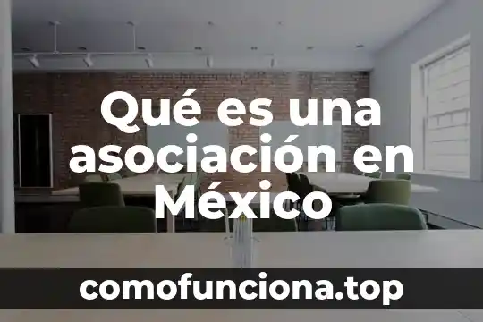 Que es la asociacion americana de terapia fisica 6 Qué es una asociación en México