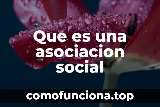 Que es la identidad individual y social 6 Que es una asociacion social