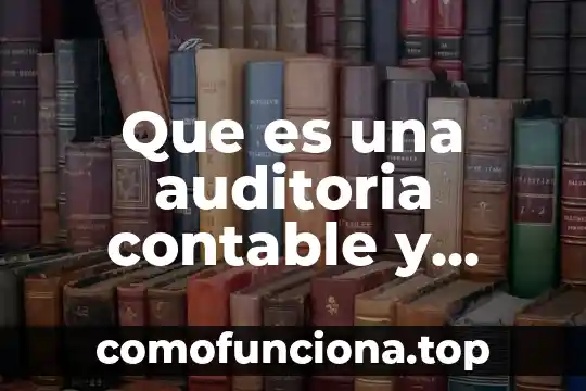 Que es la informática contable administrativa 7 Que es una auditoria contable y administrativa